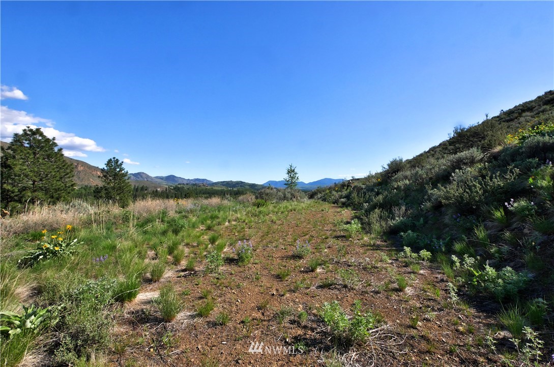 2 Williams Road Winthrop, WA 98862 - Photo 10 of 33 Gallery Image 10
