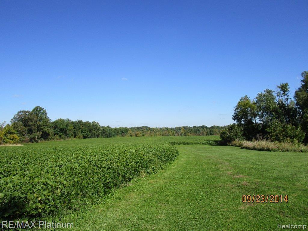 10189 Faussett Road Fenton, MI 48430 - Photo 47 of 65