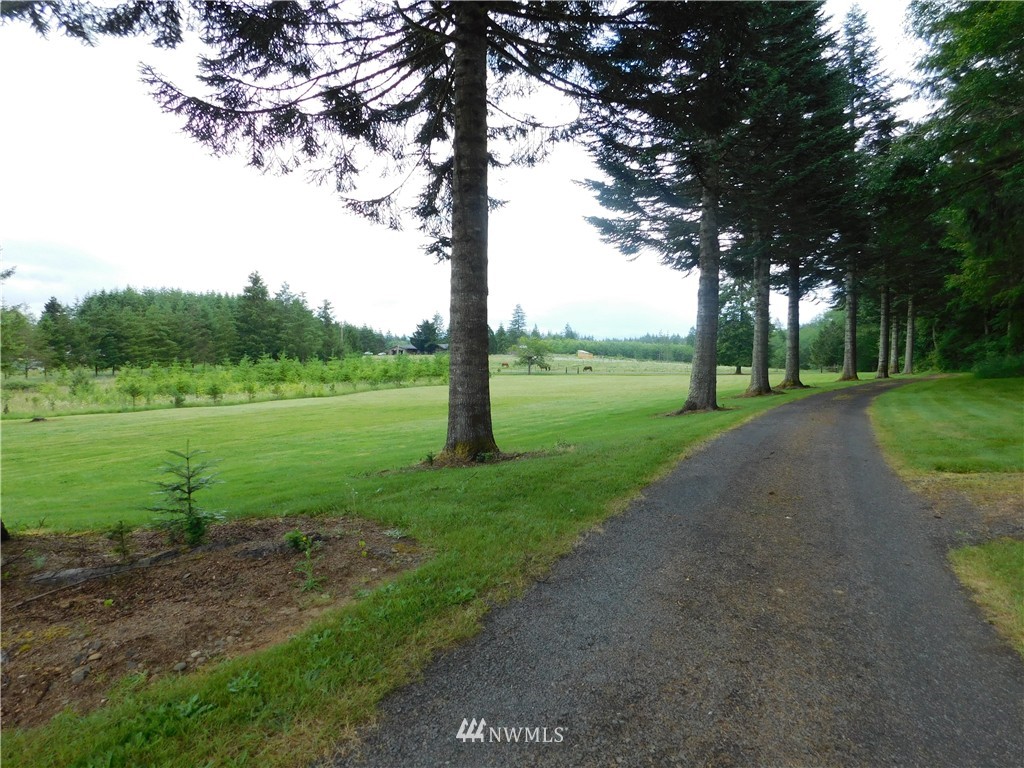 263 Kruger Road Onalaska, WA 98570 - Photo 4 of 25 Gallery Image 4