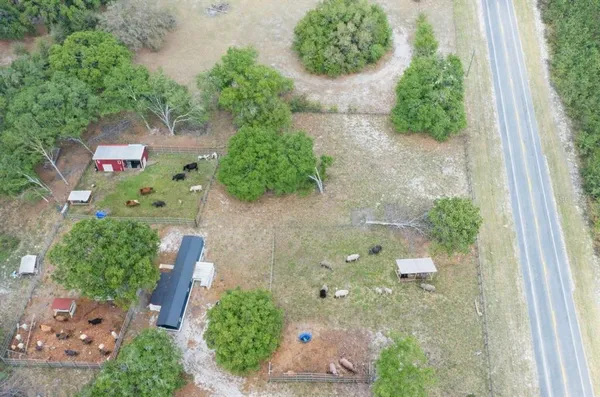 a view of a garden with a fountain