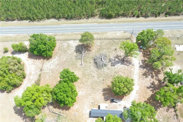 a view of a yard with a tree
