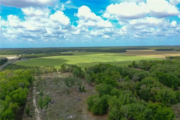 $335,000 | 7457 Northeast Ne Highway, Old Town, FL 32680