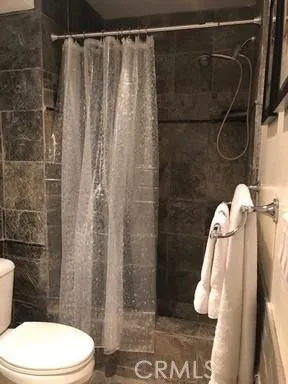 a bathroom with a shower and toilet