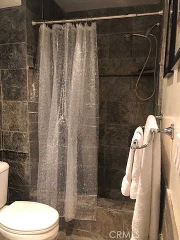a bathroom with a shower and toilet