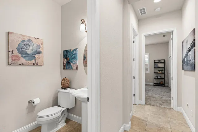 a view of a garden with pathway