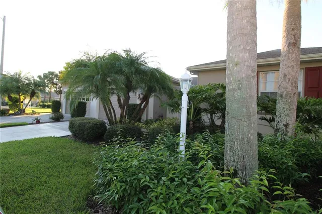 a view of a backyard with plants and palm trees