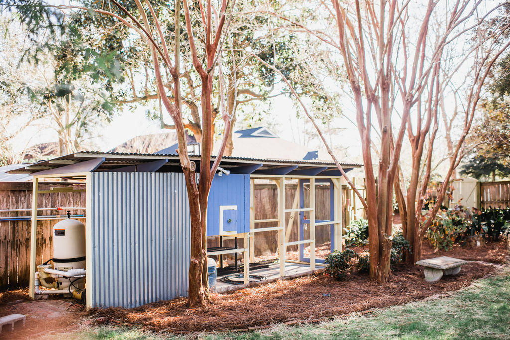 808 Milldenhall Road Mount Pleasant, SC 29464 - Photo 56 of 64 Chicken Coop