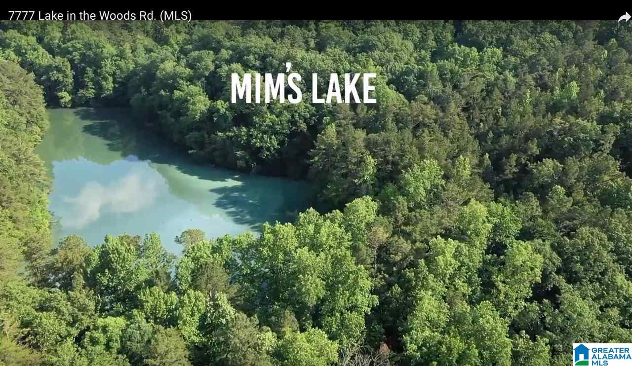 7777 Lake In The Woods Road Trussville, AL 35173 - Photo 50 of 50
