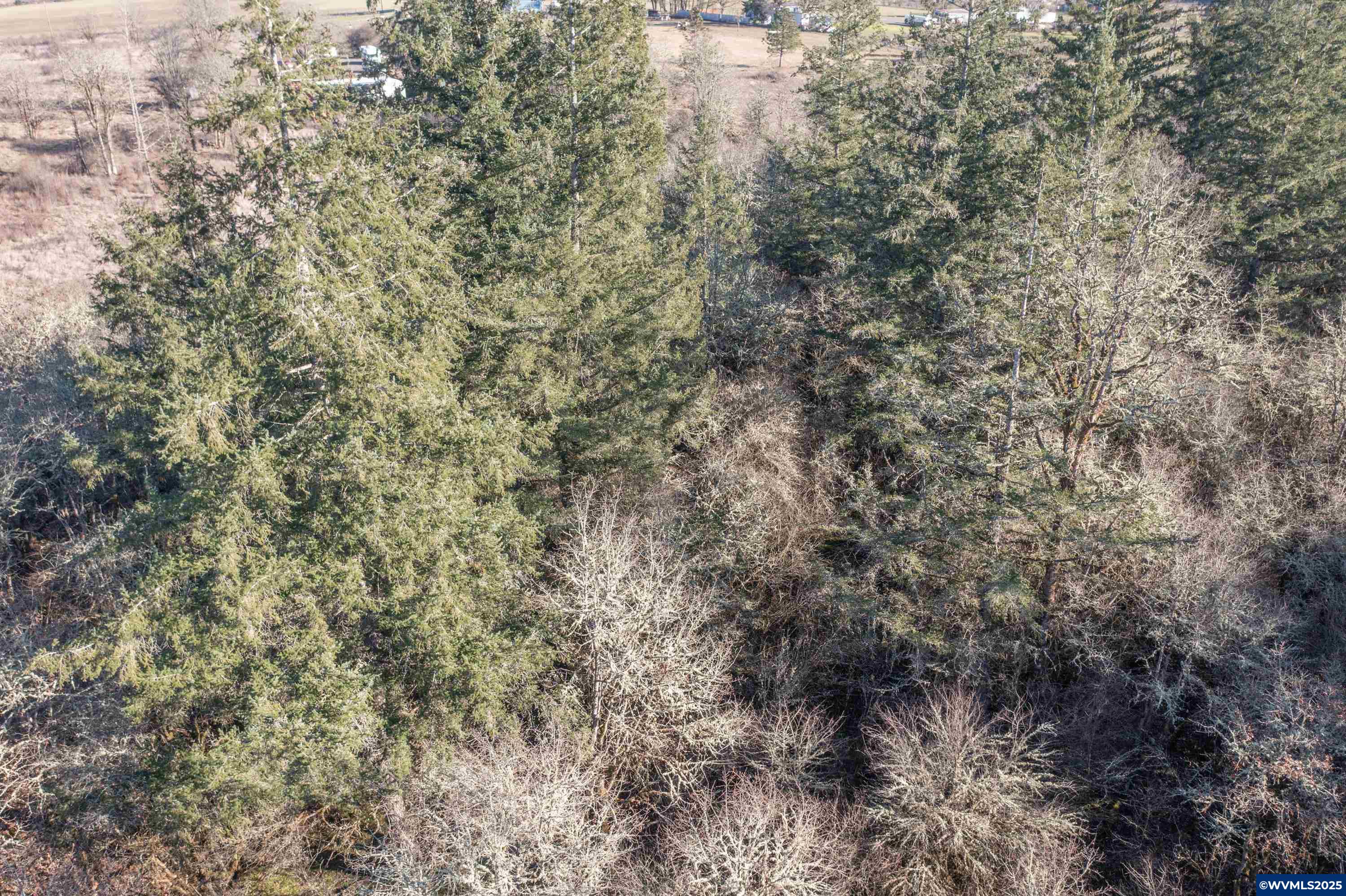 35388 Richardson Gap Road Lebanon, OR 97355 - Photo 18 of 30