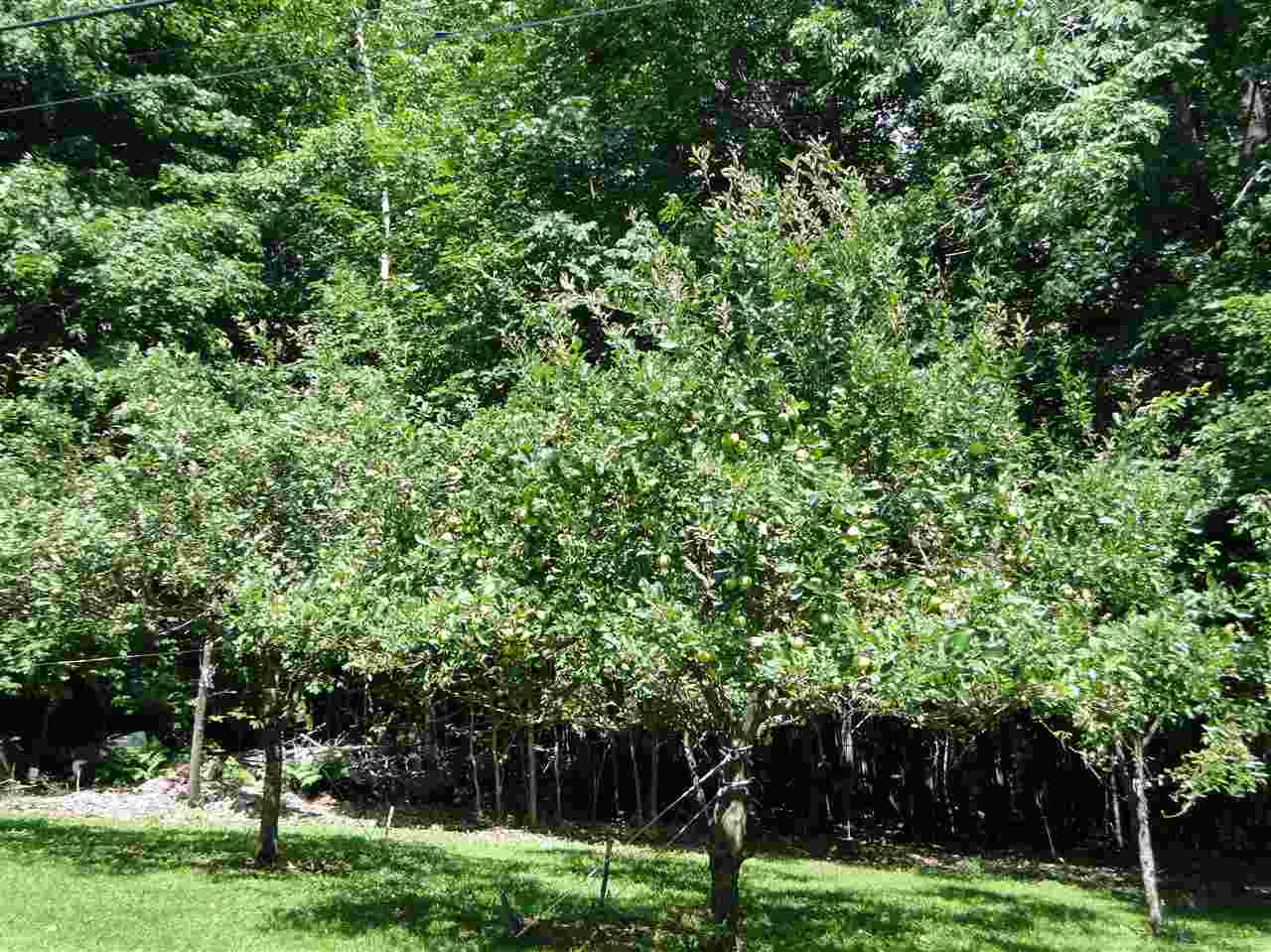 34 Sargent Road Gilmanton, NH 03237 - Photo 25 of 38
