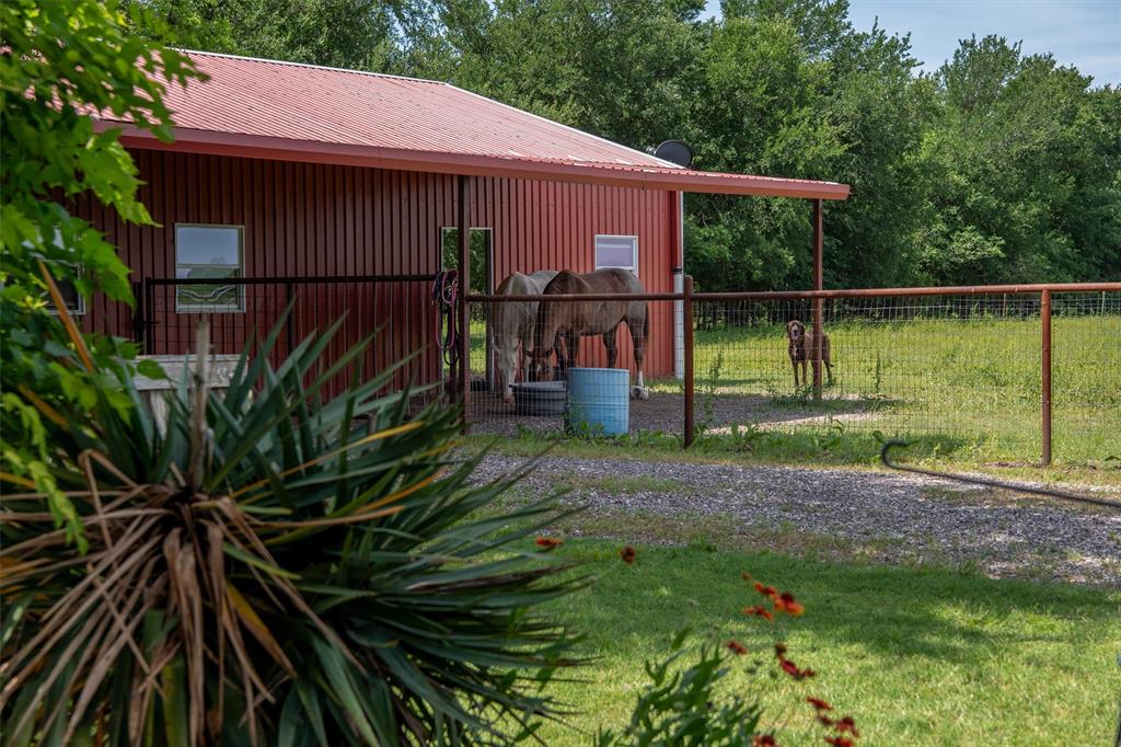 8665 Cr-669 Blue Ridge Blue Ridge, TX 75424 - Photo 25 of 40 a view of a backyard
