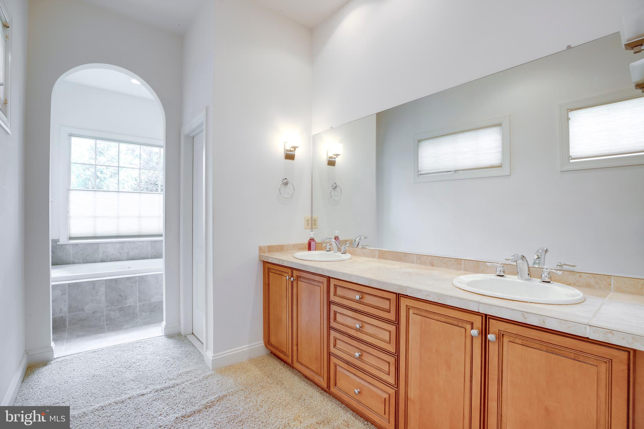 8277 Roxborough Loop Gainesville, VA 20155 - Photo 40 of 85 a bathroom with a sink and a mirror