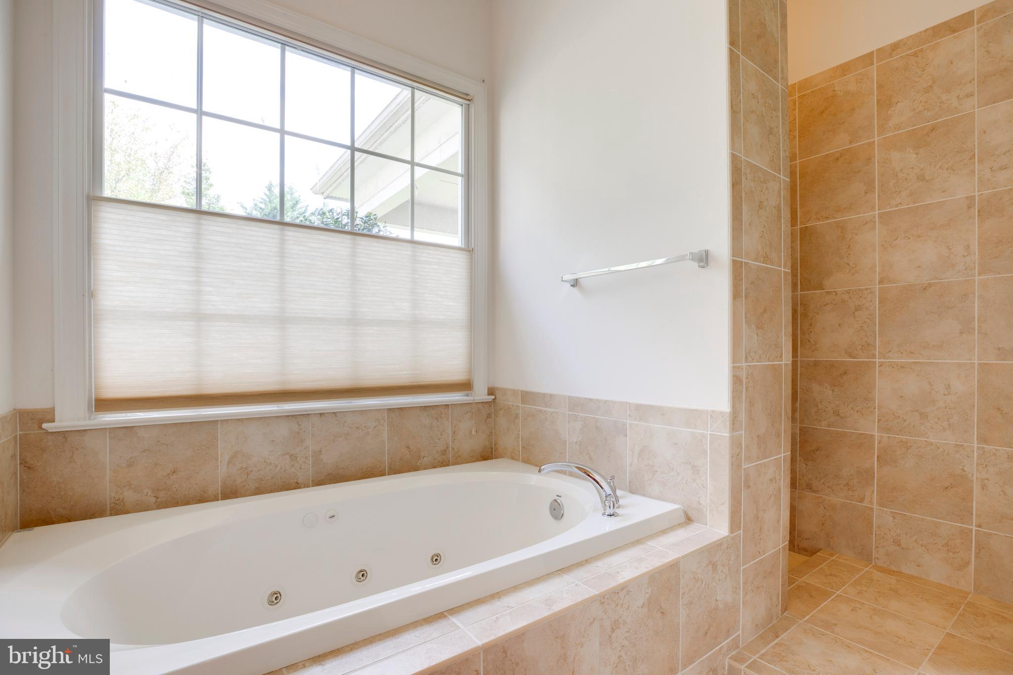 8277 Roxborough Loop Gainesville, VA 20155 - Photo 41 of 85 a bathroom with a bathtub and a shower
