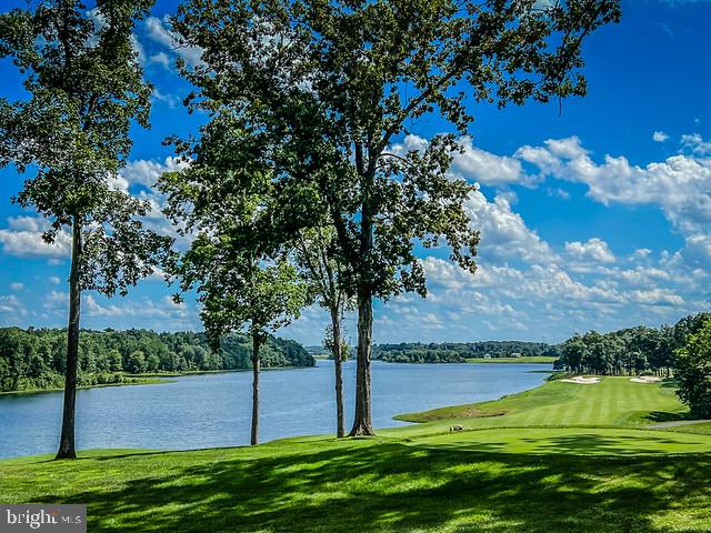 8277 Roxborough Loop Gainesville, VA 20155 - Photo 80 of 85