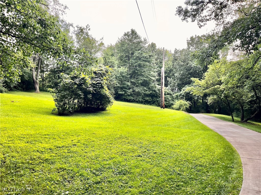 9435 Coit Road Mantua, OH 44255 - Photo 25 of 38 Large Open Front Yard