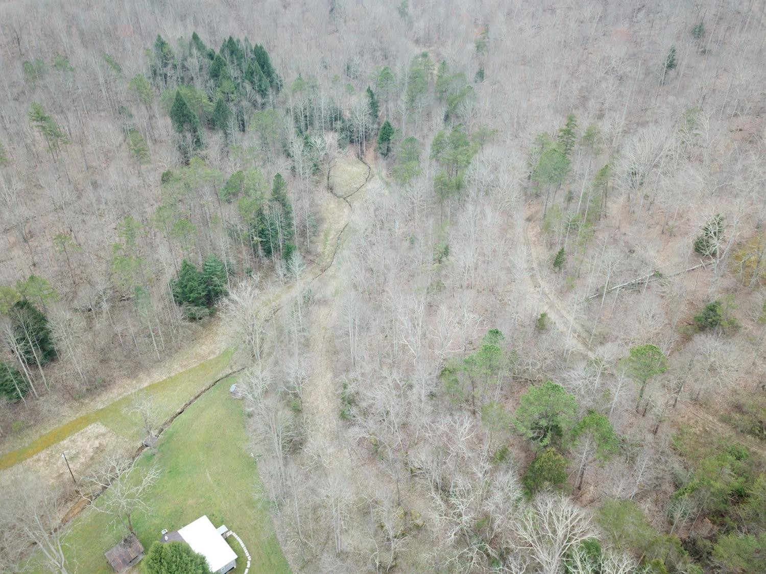 186 Viney Bottom Road McKee, KY 40447 - Photo 15 of 47 Listing Photo