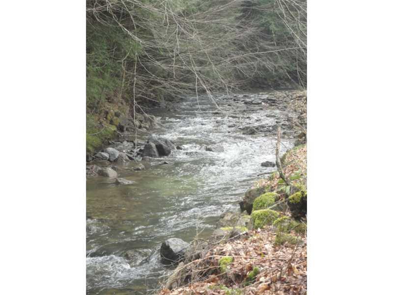 135 Barry Road Polk, PA 16342 - Photo 10 of 10 View. Back property line