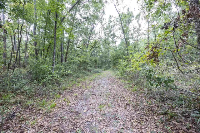 $230,000 | 3229 Deerwood Boulevard, Greenville, FL 32331