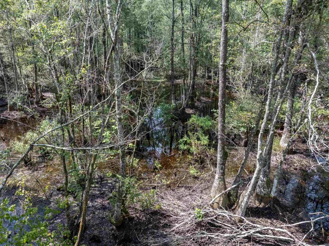 $230,000 | 3229 Deerwood Boulevard, Greenville, FL 32331