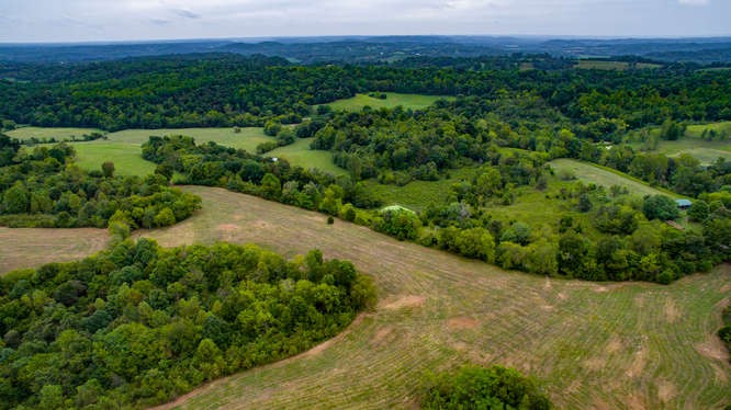 2545 She Boss Road Duck River, TN 38454 - Photo 37 of 38 Gallery Image 37