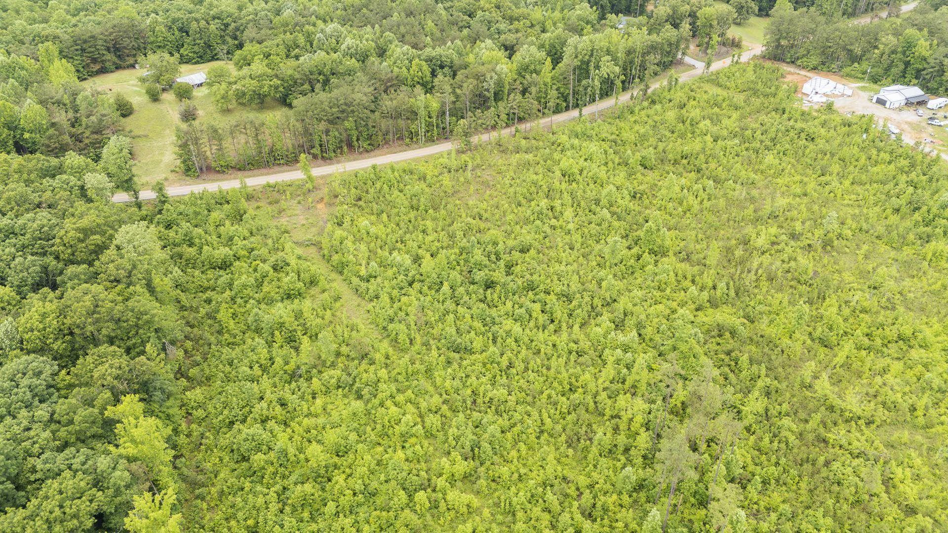 0 Leapwood Enville Road Adamsville, TN 38310 - Photo 22 of 38