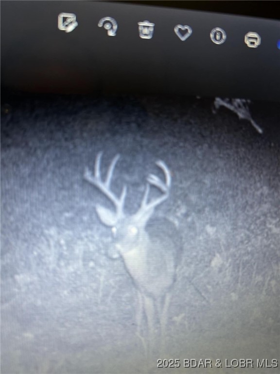 Lot 3 State Aa Road Roach, MO 65787 - Photo 17 of 27