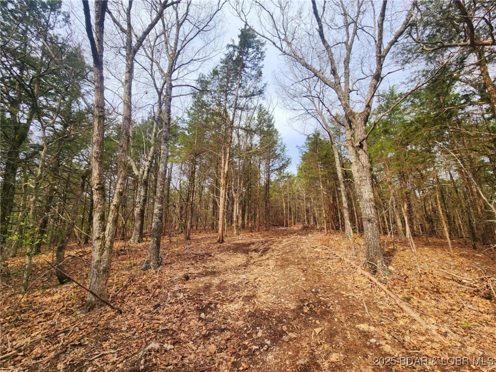 Lot 3 State Aa Road Roach, MO 65787 - Photo 20 of 27