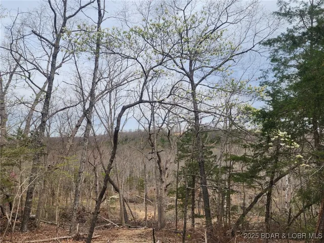 $76,712 | Lot 3 State Aa Road, Roach, MO 65787