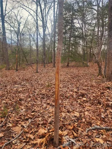 $76,712 | Lot 3 State Aa Road, Roach, MO 65787