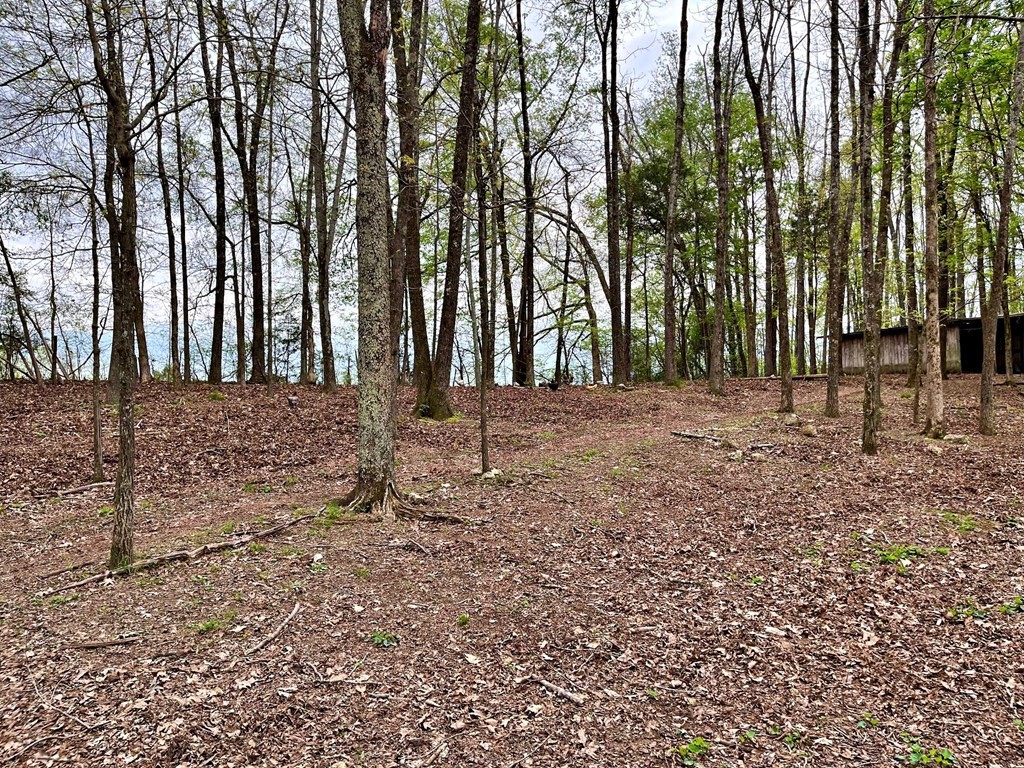 180 Shoemaker Lane Decatur, TN 37322 - Photo 33 of 70 Gallery Image 33