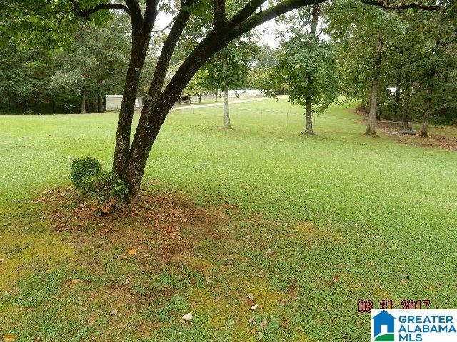 675 Rocky Ridge Road Dora, AL 35062 - Photo 24 of 43 Gallery Image 24