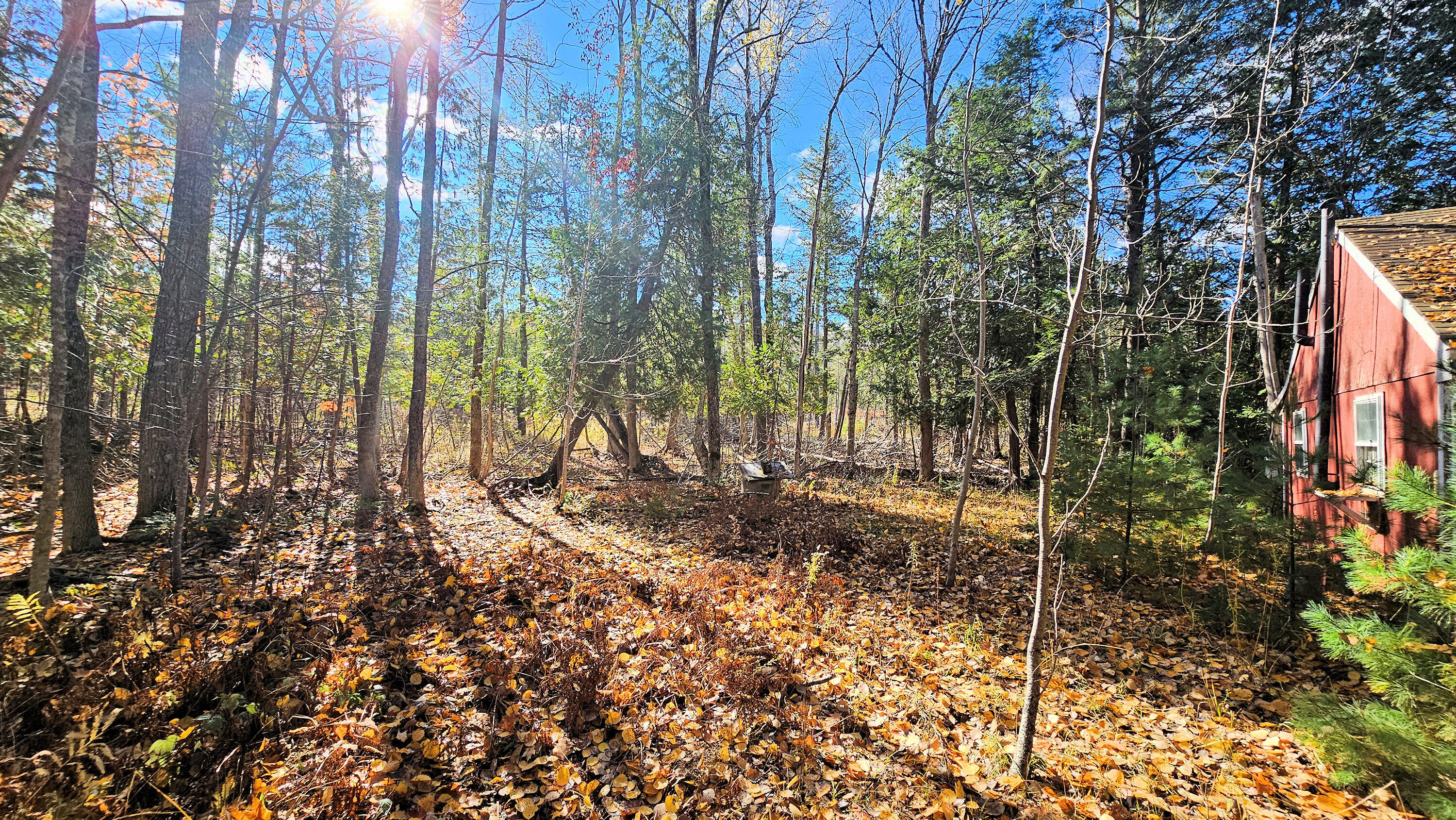 25 Thomas Hill Road Lee, ME 04455 - Photo 3 of 14 Left Side Camp
