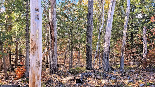 $14,900 | 25 Thomas Hill Road, Lee, ME 04455