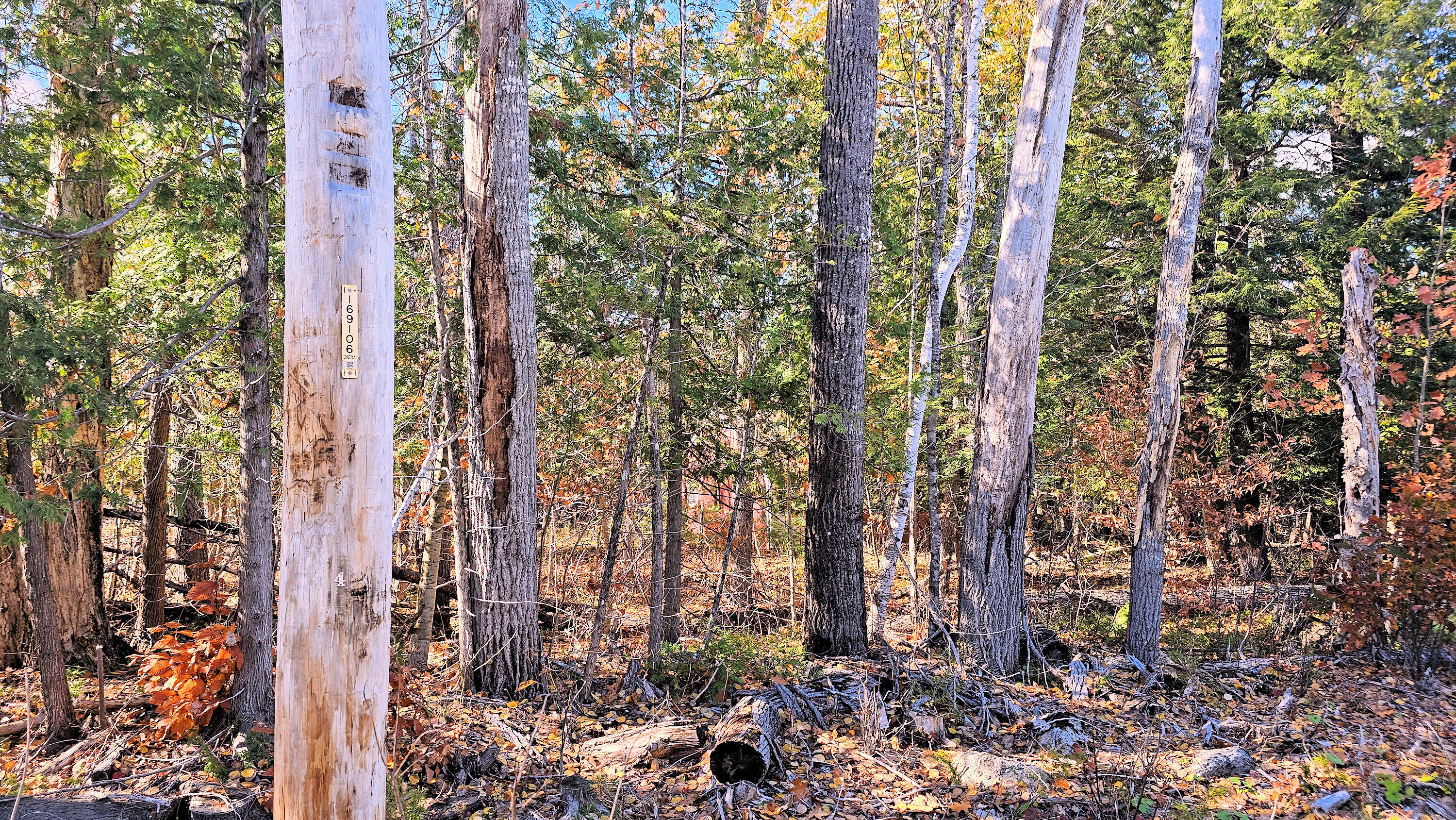 25 Thomas Hill Road Lee, ME 04455 - Photo 10 of 14 Electrical Pole