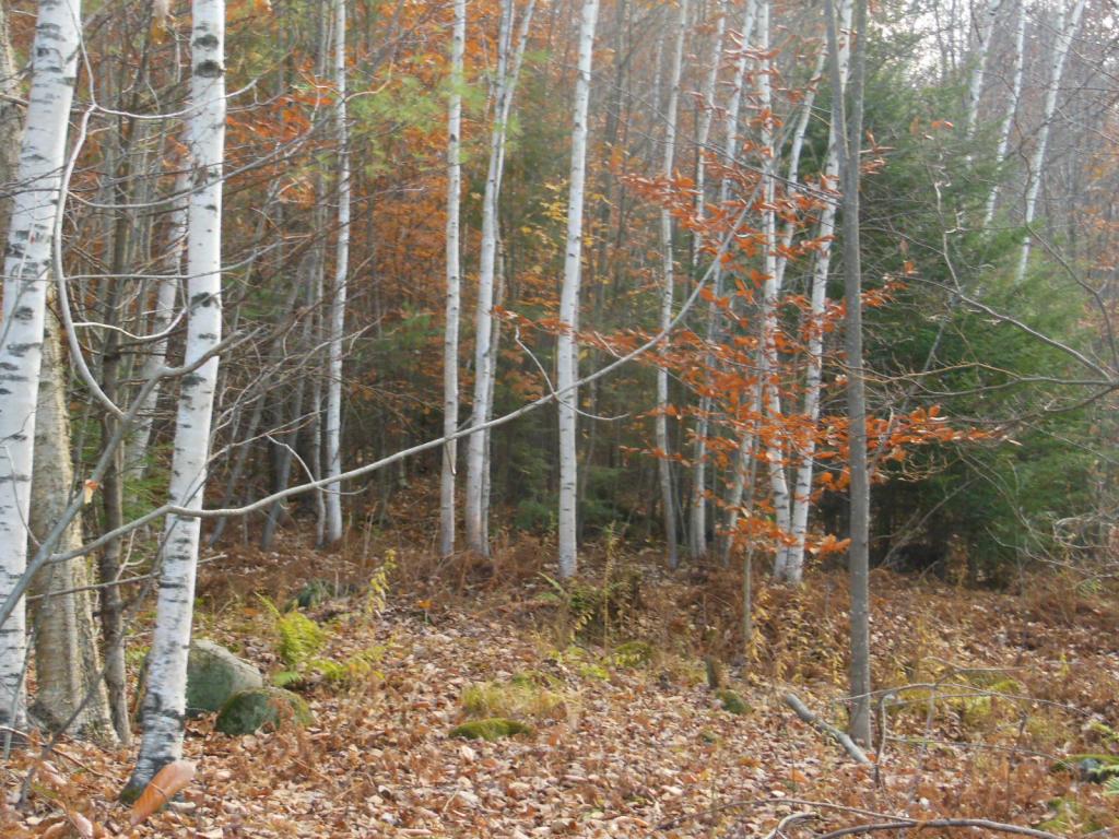 1 Hicks Hill Road Ashland, NH 03217 - Photo 1 of 8