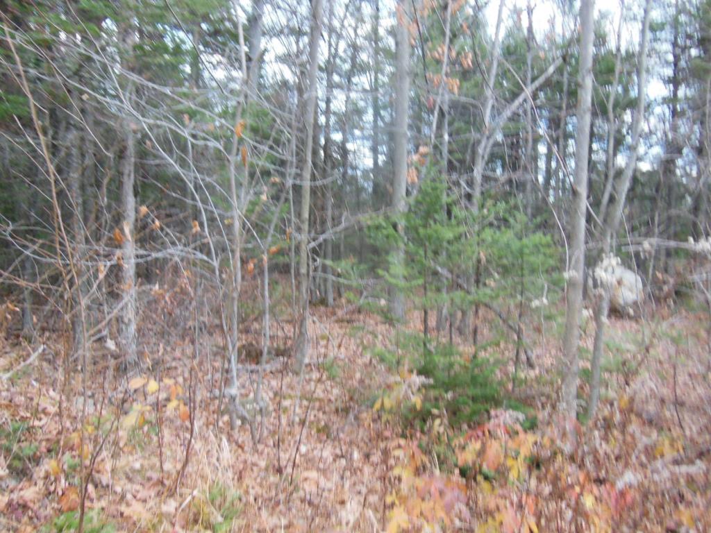 1 Hicks Hill Road Ashland, NH 03217 - Photo 2 of 8