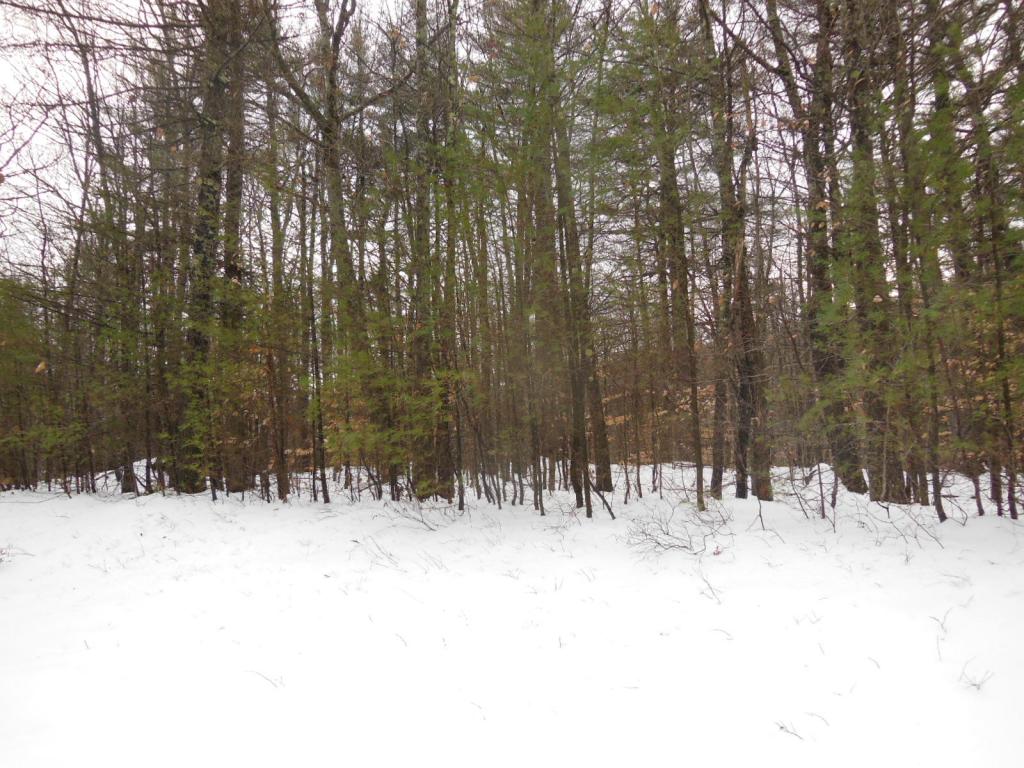 1 Hicks Hill Road Ashland, NH 03217 - Photo 3 of 8