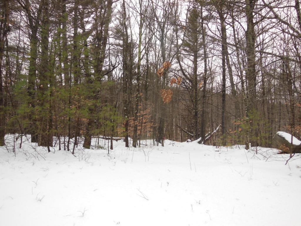 1 Hicks Hill Road Ashland, NH 03217 - Photo 4 of 8