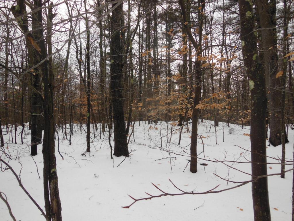 1 Hicks Hill Road Ashland, NH 03217 - Photo 8 of 8