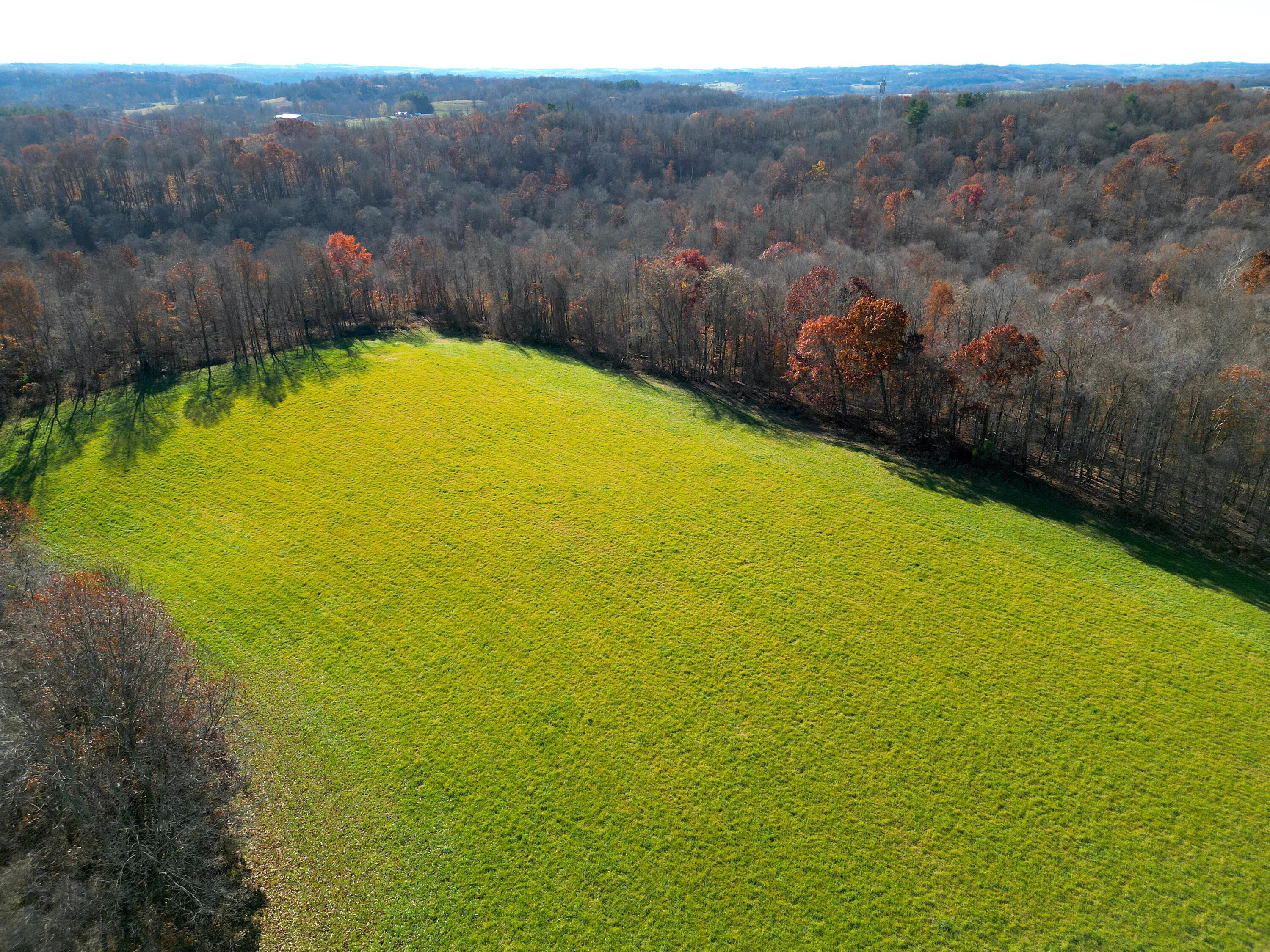 DJI_0595