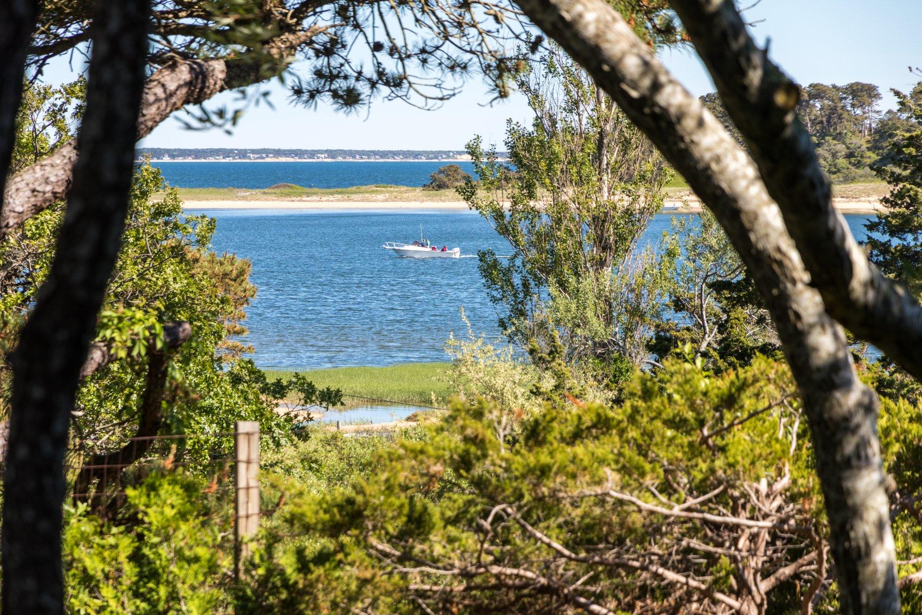 925 Chequessett Neck Road Wellfleet, MA 02667 - Photo 39 of 47 a view of swimming pool from a yard