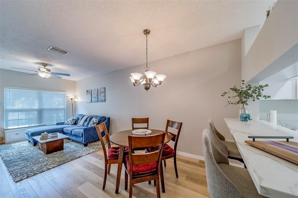 367 Countryside Key Boulevard Oldsmar, FL 34677 - Photo 11 of 30 Gallery Image 11