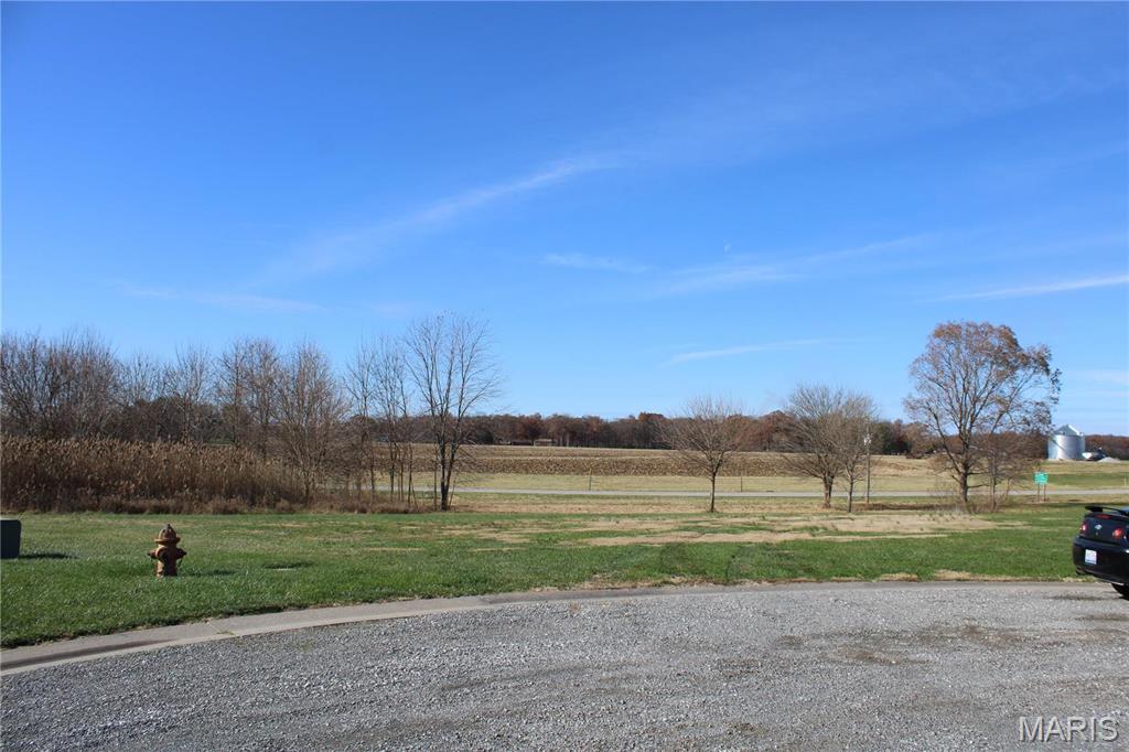 964 Kleefeld Lane St. Libory, IL 62282 - Photo 14 of 15