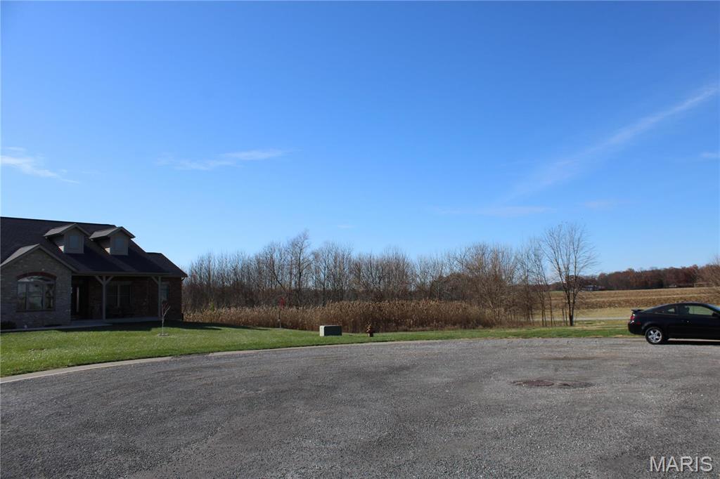 964 Kleefeld Lane St. Libory, IL 62282 - Photo 14 of 16