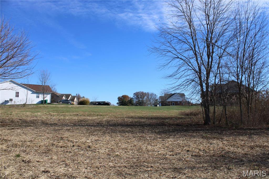 964 Kleefeld Lane St. Libory, IL 62282 - Photo 16 of 16