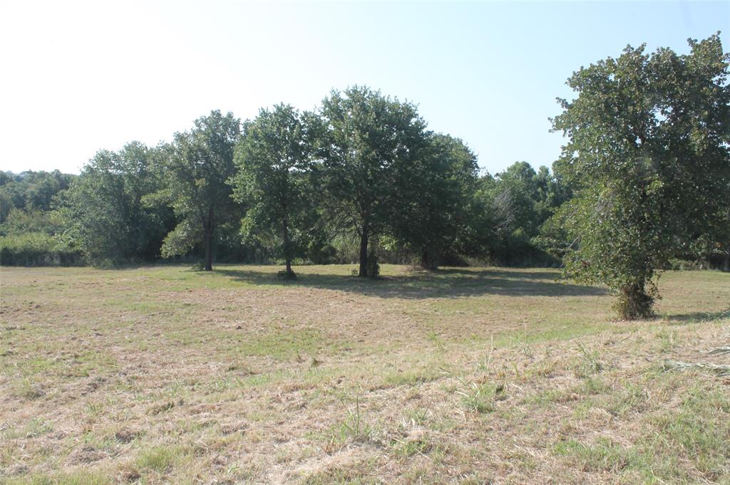 9935 Zion Hill Road Poolville, TX 76487 - Photo 11 of 22