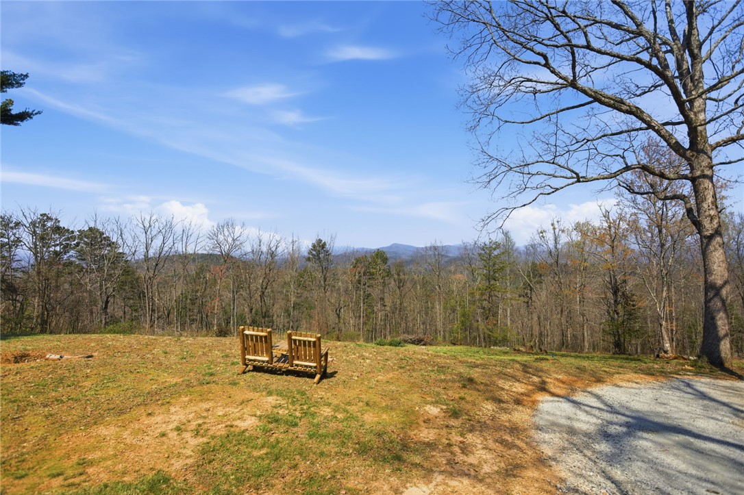 128 Freds Summit Place Mountain Rest, SC 29664 - Photo 35 of 46