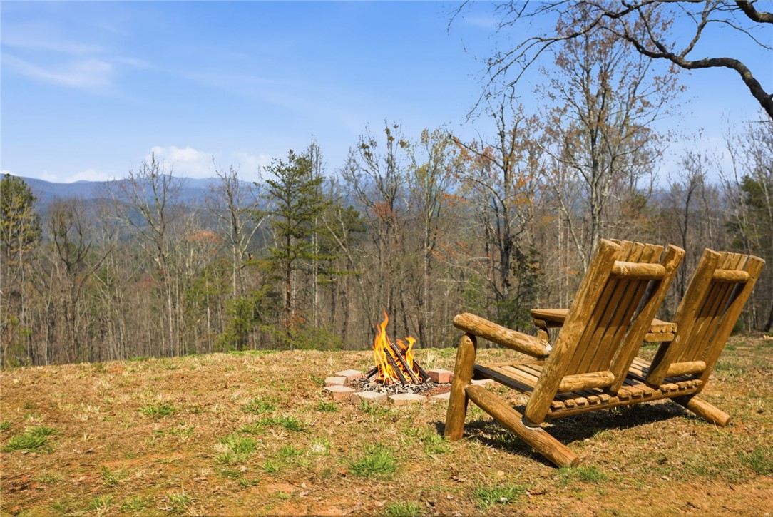 128 Freds Summit Place Mountain Rest, SC 29664 - Photo 36 of 46