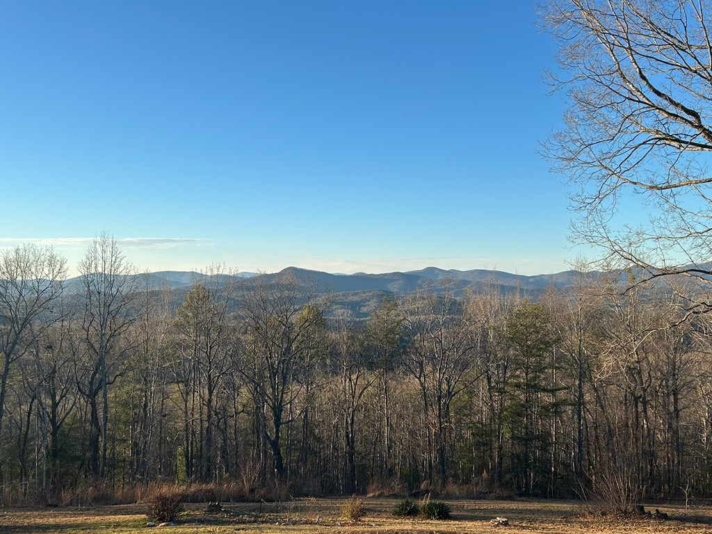 128 Freds Summit Place Mountain Rest, SC 29664 - Photo 38 of 46