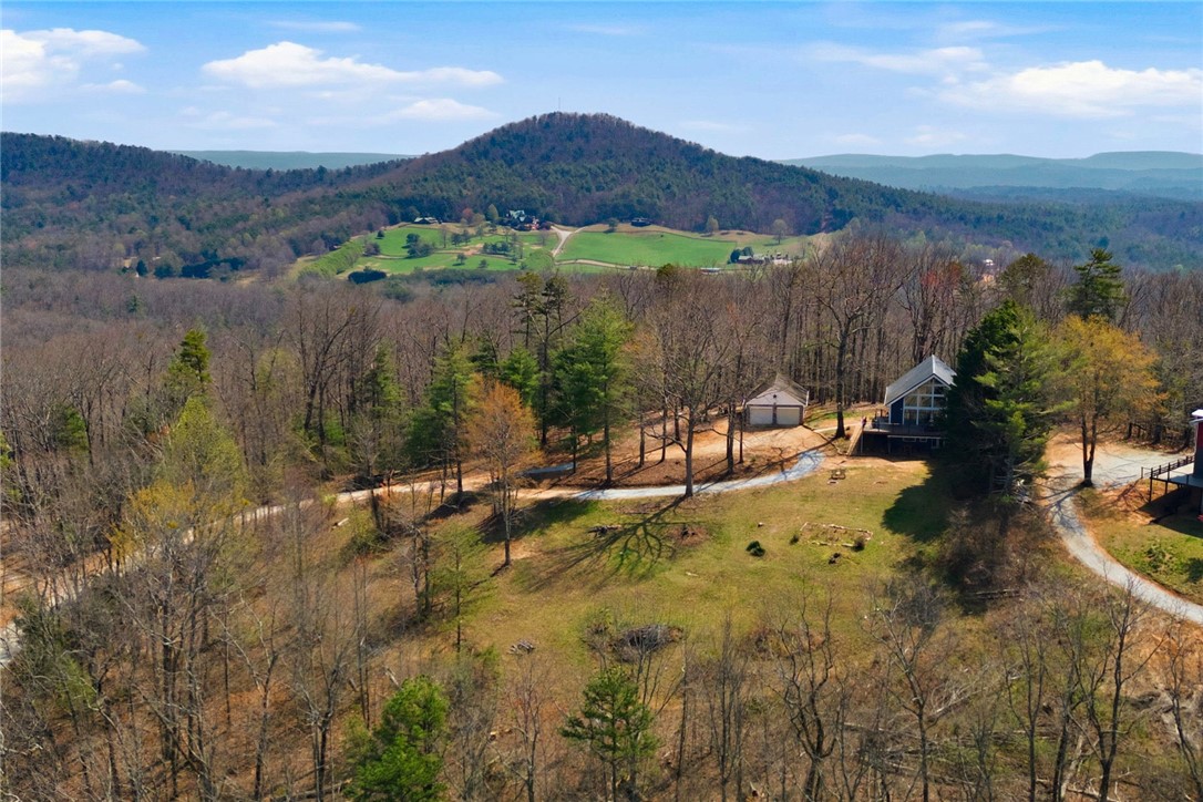 128 Freds Summit Place Mountain Rest, SC 29664 - Photo 39 of 46